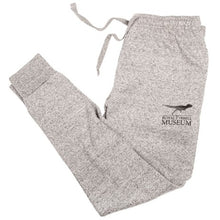 Load image into Gallery viewer, RTMP Dino Adult Sweatpants