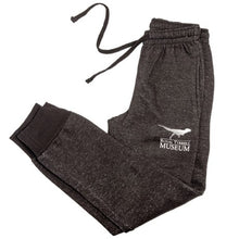 Load image into Gallery viewer, RTMP Dino Adult Sweatpants