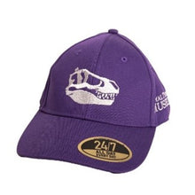 Load image into Gallery viewer, Black Beauty Youth Snapback Hat
