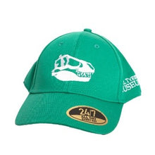 Load image into Gallery viewer, Black Beauty Youth Snapback Hat
