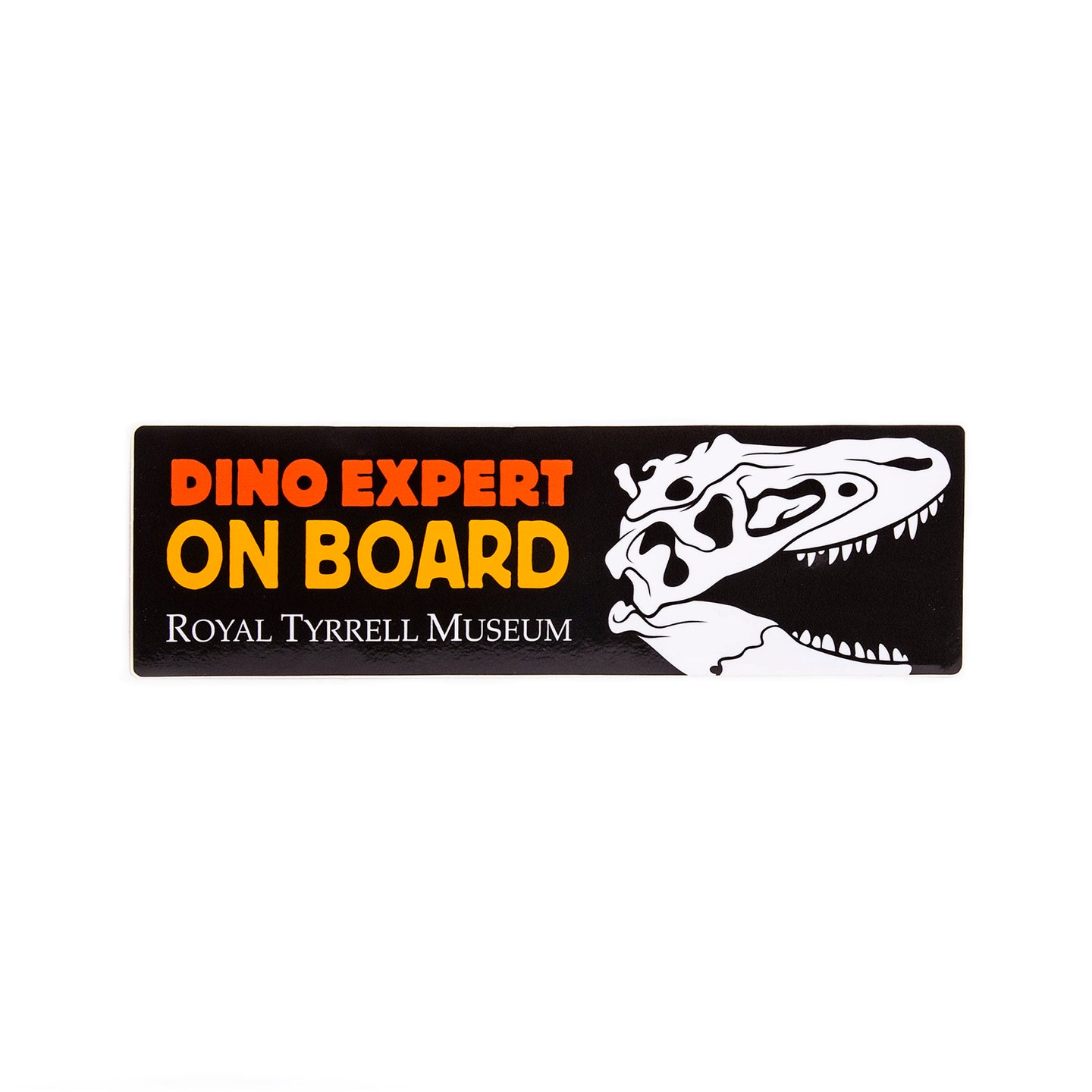 Dino Expert On Board Bumper Sticker