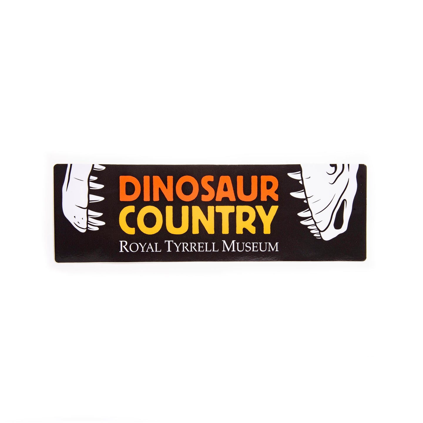 Dinosaur Country Bumper Sticker