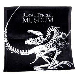 Dinosaur Wash Cloths