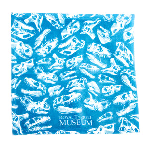 Dinosaur Wash Cloths