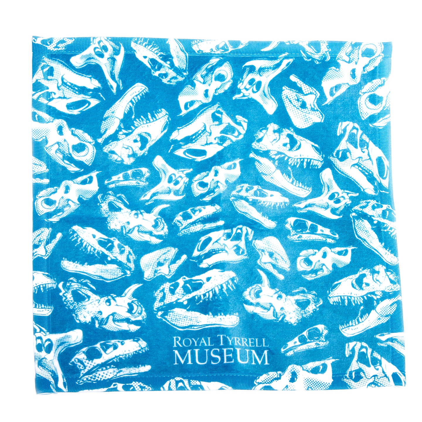 Dinosaur Wash Cloths