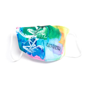 Face Masks
