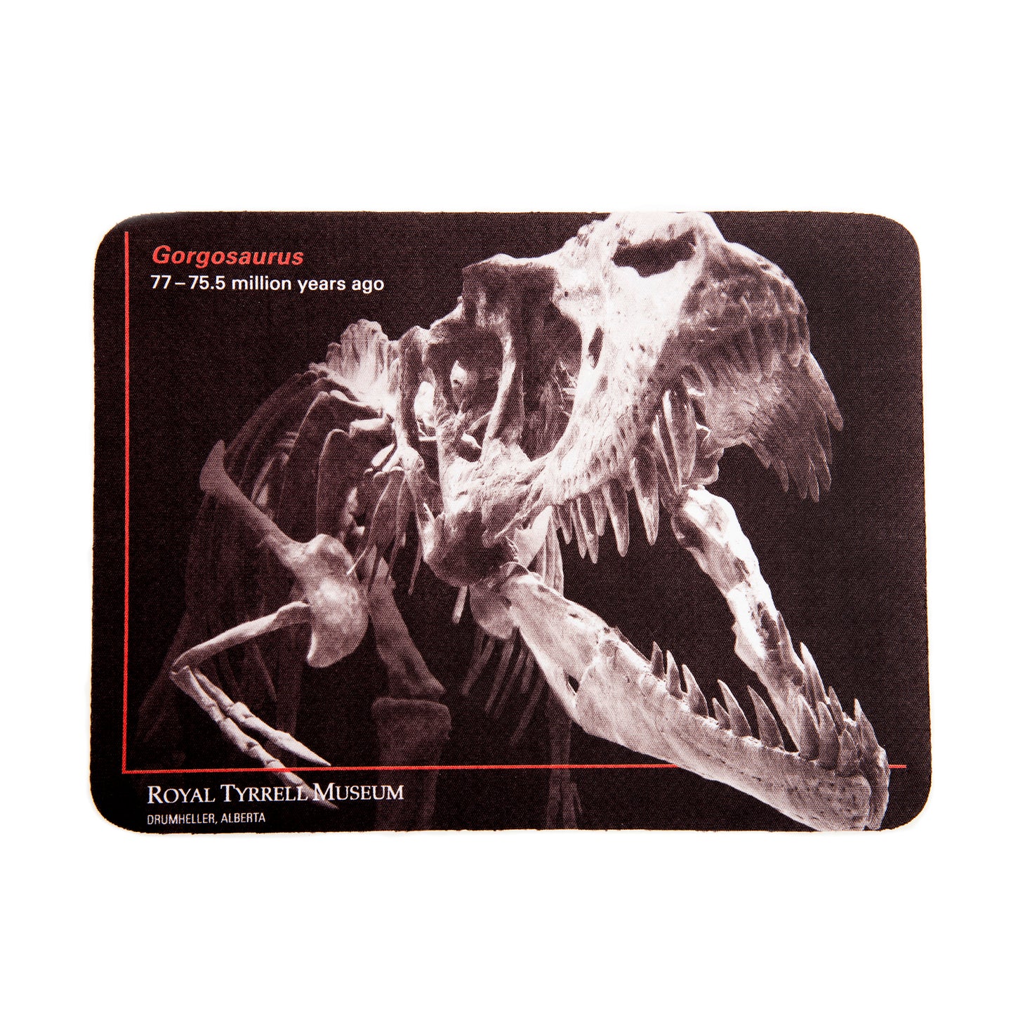 Gorgosaurus Mouse Pad