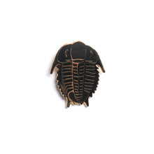 Load image into Gallery viewer, Brass Pins
