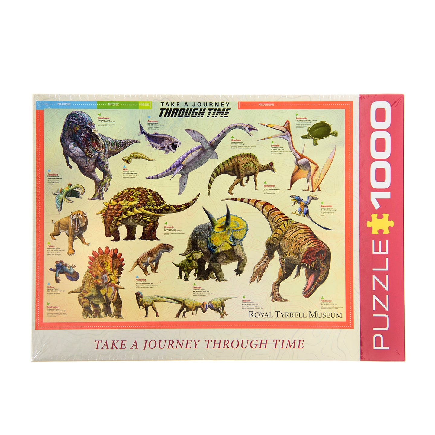 Take A Journey Through Time Puzzle
