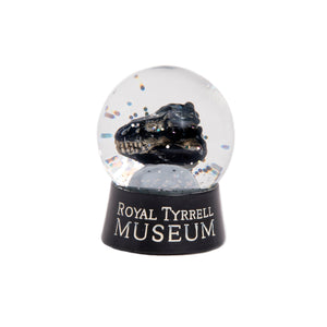 Black Beauty Water Globe