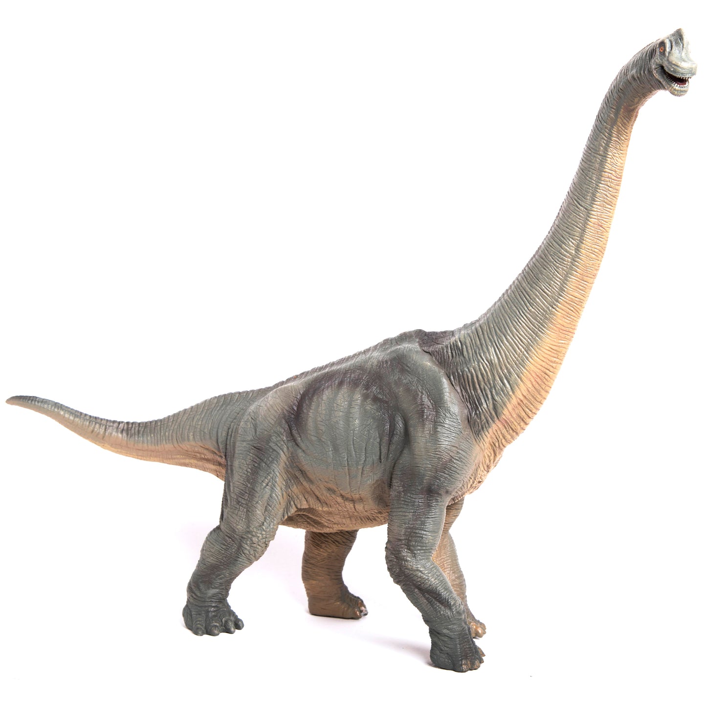 Brachiosaurus - Papo