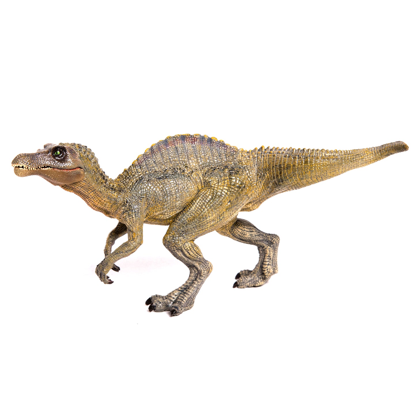 Young Spinosaurus - Papo
