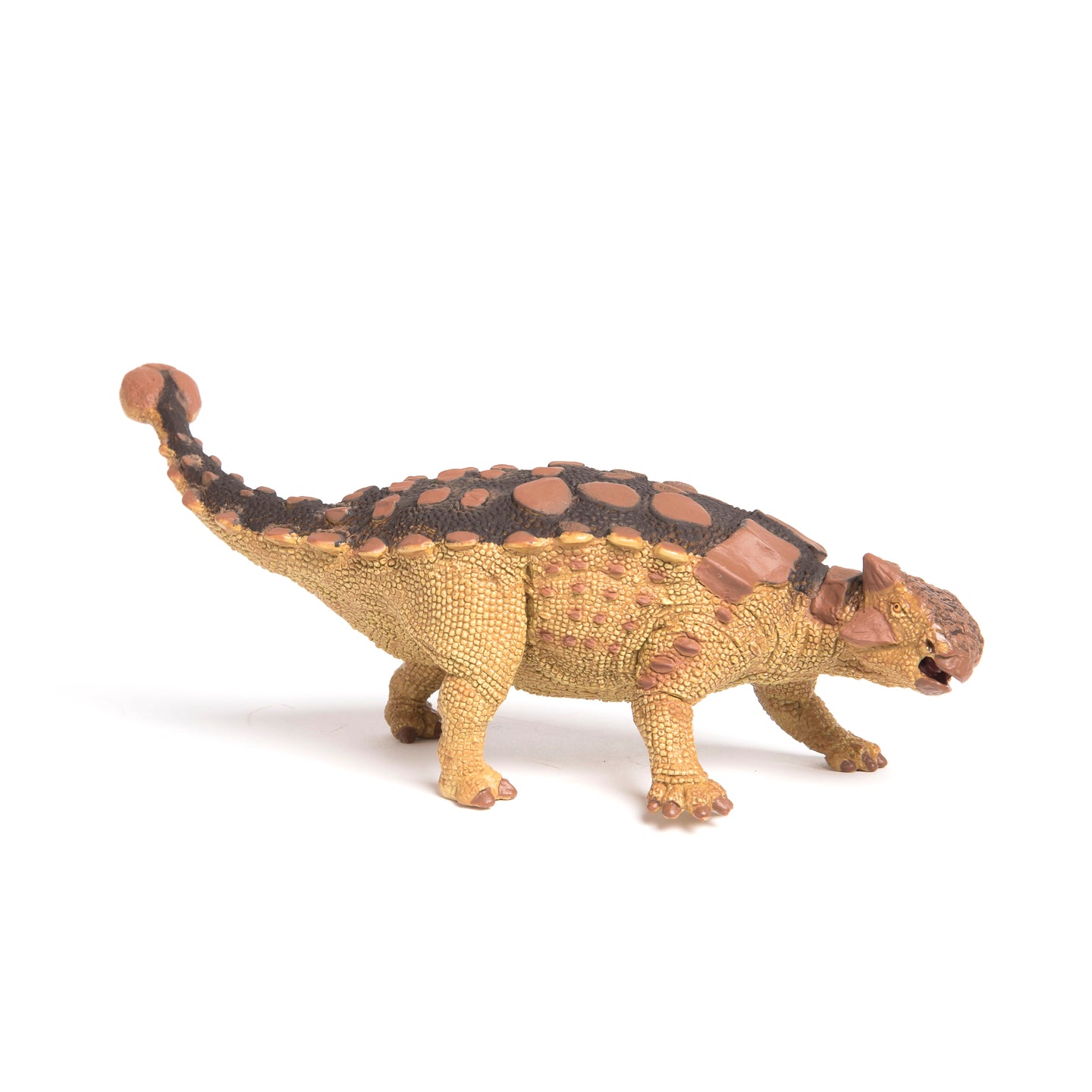 Ankylosaurus - Wild Safari