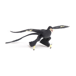 Microraptor - Wild Safari