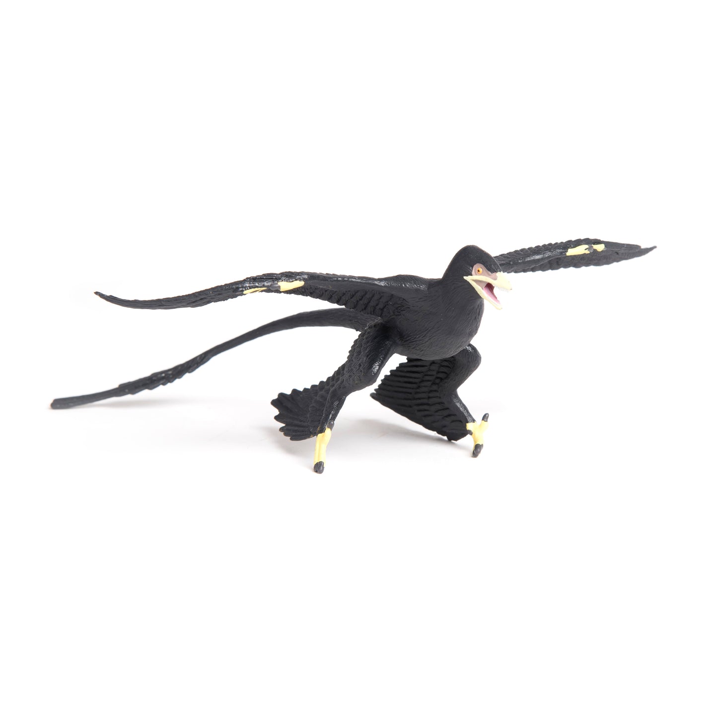 Microraptor - Wild Safari