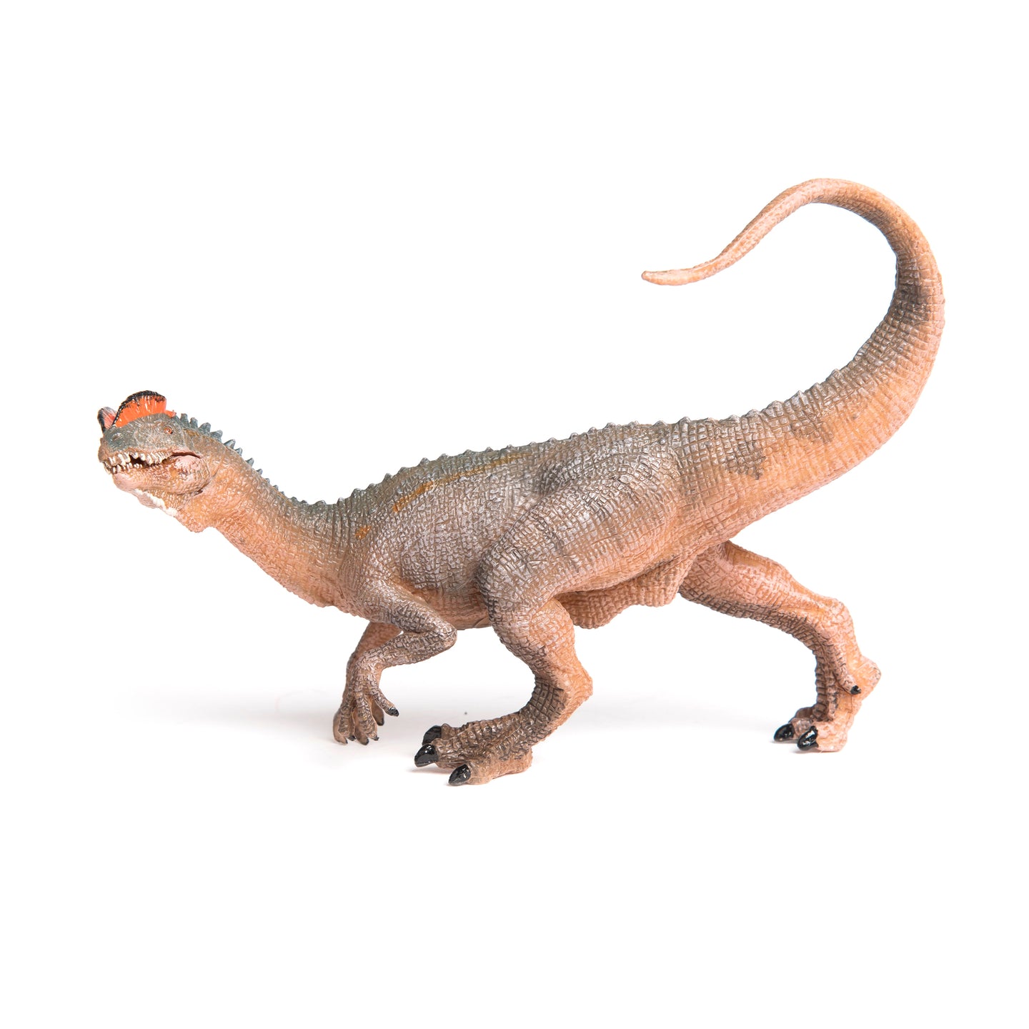 Dilophosaurus - Papo