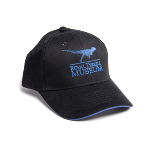 Adult Logo Hats