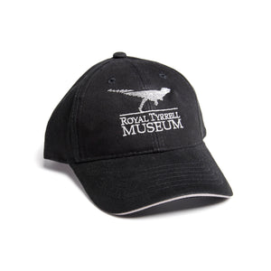 Adult Logo Hats
