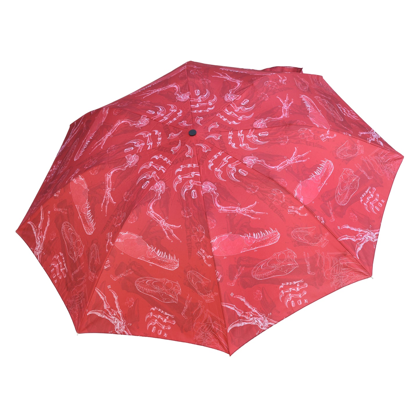 Dinosaur Umbrella
